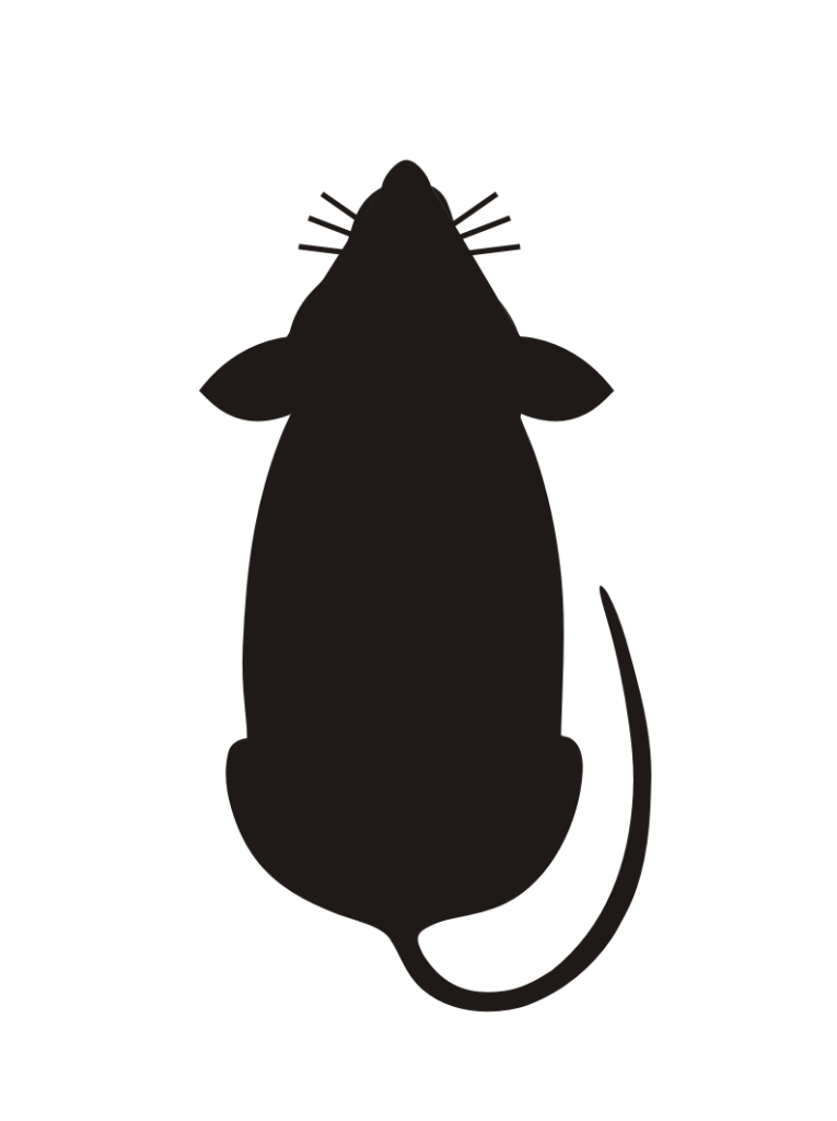 Resultado de imagem para imagem de rato em lanchonete